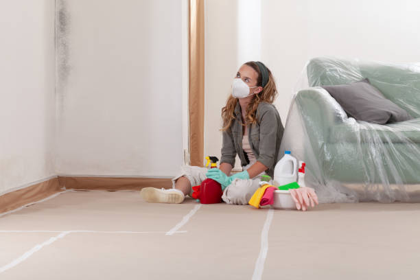 Reliable Mold Remediation contractor in Bonita Springs, FL by WQB Mold Removal